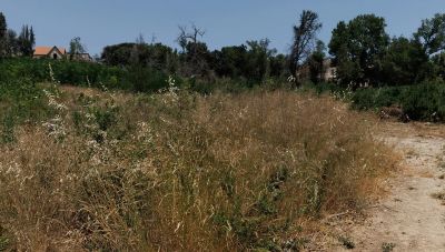 Ακαθάριστα οικόπεδα: Ποιοι κινδυνεύουν με πρόστιμο ύψους 1.000 ευρώ