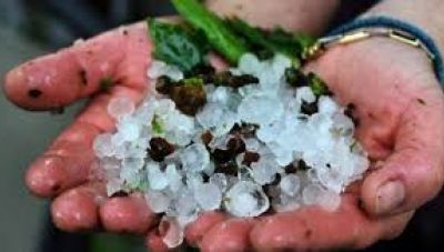 Ισχυρή χαλαζόπτωση έπληξε την Εδεσσα - Καταστροφή για τις κερασιές και τις ροδακινιές