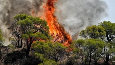 Υψηλός κίνδυνος πυρκαγιάς στην Κρήτη αύριο  Δευτέρα: Συστάσεις από τη Γενική Γραμματεία Πολιτικής Προστασίας