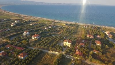 Χαλκιδική: Αντιμέτωπη με το «θηρίο» της…  υφαλμύρωσης- Η εξήγηση των ειδικών