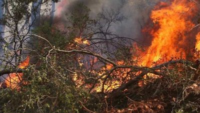 Χανιά: Συνεχίζεται η μάχη  με τις φλόγες - Επιχειρούν εναέρια μέσα