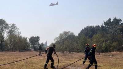 Πυροσβεστική: 29 αγροτοδασικές πυρκαγιές το τελευταίο 24ωρο στη χώρα (Βίντεο)