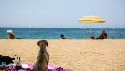 Καιρός: Μικρή πτώση της θερμοκρασίας σήμερα στην Κρήτη