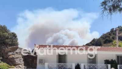 Μεγάλη φωτιά στην Εύβοια: 112 για εκκένωση οικισμών - Οι φλόγες πέρασαν την Εθνική Οδό