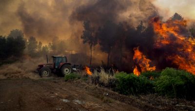 Φωτιά στην Εύβοια: Τρία μηνύματα του 112 – Ισχυροί άνεμοι στην περιοχή, ενισχύθηκαν οι δυνάμεις της Πυροσβεστικής