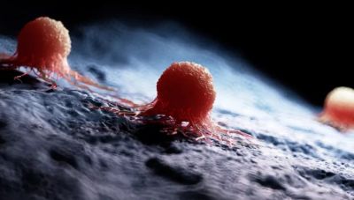 Καρκίνος: Πανίσχυρα νανορομπότ εξουδετερώνουν τα καρκινικά κύτταρα