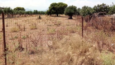 Δήμος Βιάννου: Παράταση προθεσμίας στην υποβολής δηλώσεων καθαρισμού οικοπέδων      