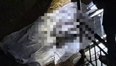 Θρίλερ στα Λιόσια με απανθρακωμένη σορό ηλικιωμένου-Εξετάζεται αν τον σκότωσε ο γιος του