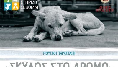 Μουσική παράσταση «Σκύλος στο Δρόμο» στο κηποθέατρο Μάνος Χατζιδάκις
