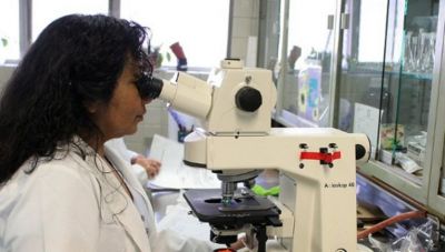 Μελάνωμα: Νέα θεραπεία με μια κοινή βιταμίνη σκοτώνει τα καρκινικά κύτταρα