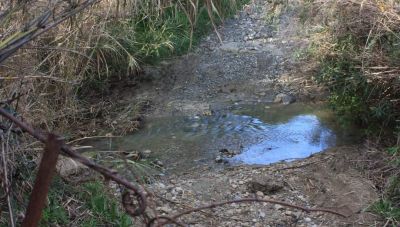 O παιδικός παράδεισος μου