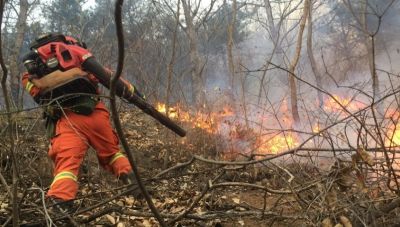 Υπό μερικό έλεγχο τέθηκε η πυρκαγιά στη Σαλαμίνα - Τραυματίστηκαν δύο πυροσβέστες