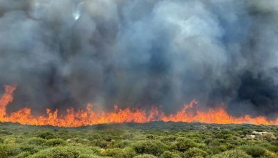 Μήνυμα από το 112 για εκκένωση τεσσάρων περιοχών στην Άνδρο – Μαίνεται η φωτιά στο νησί