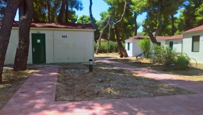 Θρίλερ σε κατασκήνωση: 100 παιδιά έφυγαν με εμετούς και υψηλό πυρετό