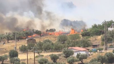 Πυρκαγιά στην Πλάκα Κερατέας: Σπίτια παραδόθηκαν στις φλόγες – Ενίσχυση των δυνάμεων πυρόσβεσης (Βίντεο)