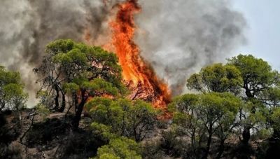 Μεγάλη πυρκαγιά σε γεωργική έκταση στην Αλίαρτο Βοιωτίας - Ενεργοποιήθηκε το 112