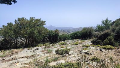 Το ΓΕΩΤΕΕ-Παράρτημα Κρήτης για την Παγκόσμια Ημέρα Περιβάλλοντος (ΒΙΝΤΕΟ)