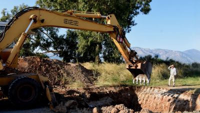 Πυροπροστασια: Υπερβολές μετά τα νέα μέτρα-Ξεριζώνουν μέχρι και δέντρα