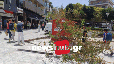 Ηράκλειο: Πτώση δέντρου στην πλατεία του Κουμπέ, στο κέντρο της πόλης προκάλεσε αναστάτωση