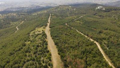 Ρέθυμνο: Τα αποτελέσματα στο 31,03% της ενσωμάτωσης