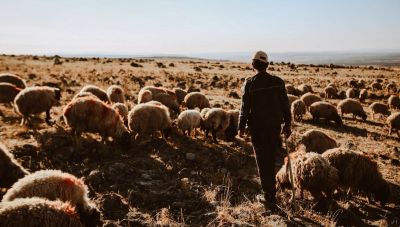 Σε Μυλοπόταμο και Ζωνιανά ο Λευτέρης Αυγενάκης την Κυριακή – Συνάντηση με αγροτοκτηνοτρόφους