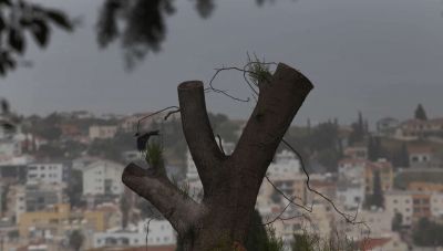Μέτρια σήμερα τα επίπεδα συγκέντρωσης αφρικανικής σκόνης στη Κρήτη