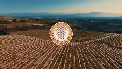 Τι απαντά ο ΟΠΕΚΕΠΕ για τα έξοδα μετακίνησης