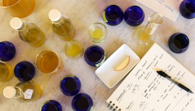 Οδηγός παραγωγής εξαιρετικού παρθένου ελαιόλαδου στο ελαιοτριβείο