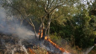 Κρήτη - Κίνδυνος πυρκαγιών από το κάψιμο του Ιούδα