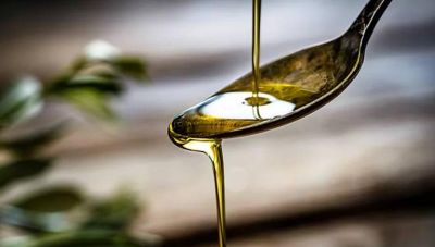 Ελαιόλαδο: Υποχωρούν οι τιμές στη χονδρική αγορά - Οι προβλέψεις για το φθινόπωρο