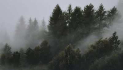 «Περί Φωτογραφίας»: Παράλληλες δράσεις στη Δημοτική Πινακοθήκη Χανίων τον Μάιο