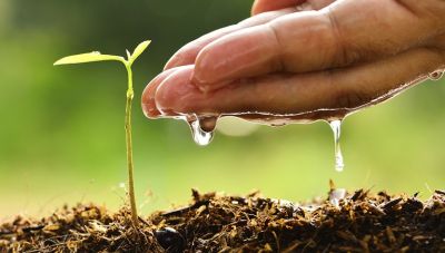 Νέο Πρόγραμμα Κατάρτισης «Γεωτεχνική Κατάρτιση για Υποψήφιους Νέους Αγρότες»