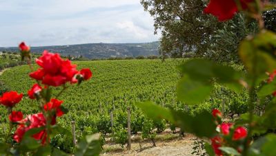Condé Nast Traveler: Η Ελλάδα στις κορυφαίες χώρες για ταξίδια-Ξεχωρίζει την Κρήτη για την αμπελουργία της