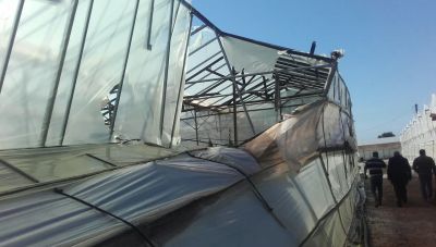 Αναγγελία ζημιάς από ανεμοθύελλα από τον ανταποκριτή του ΕΛΓΑ Θερίσου: Έως τις 12/3 οι δηλώσεις