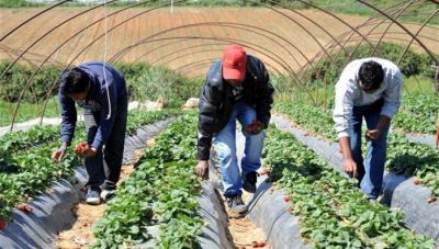 Καιρίδης: 1500 αλλοδαποί έχουν πάρει ΑΦΜ και εργάζονται νόμιμα