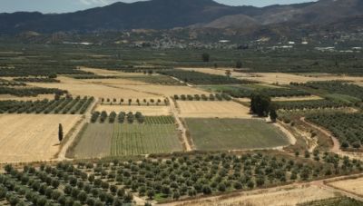 Κτηματογράφηση στην Κρήτη: Τελευταία ευκαιρία για συλλογή δηλώσεων  πριν τα πρόστιμα