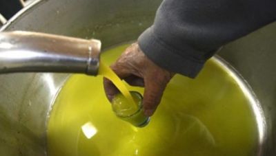 Ελαιόλαδο: Πρόβλεψη για μείωση τιμών 50% τους επόμενους μήνες - Μεγάλη αύξηση στην παραγωγή