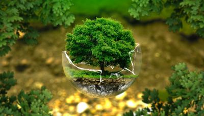 Ρέθυμνο: Αγροτικός τομέας και κλιματική κρίση στο επίκεντρο του Διεθνούς Συνεδρίου “Open Earth 2024”