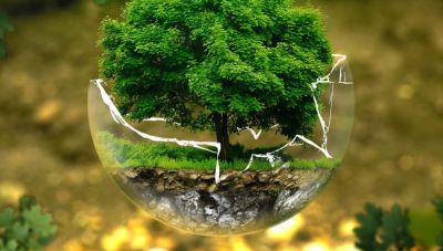 Ρέθυμνο: Αγροτικός τομέας και κλιματική κρίση στο επίκεντρο του Διεθνούς Συνεδρίου “Open Earth 2024”