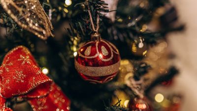 Τρίκαλα:  Φωταγωγήθηκε το μεγαλύτερο χριστουγεννιάτικο δέντρο της Ελλάδας