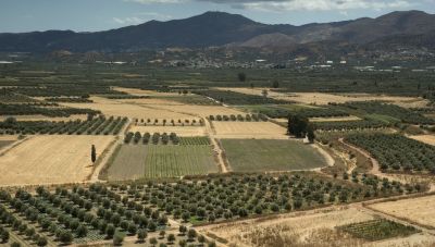 Κτηματογράφηση στην Κρήτη: Ζητούν την παράταση της διαδικασίας- Επιστολή ΤΕΕ/ΤΑΚ στον Υπουργό