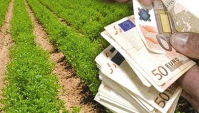 Κρήτη: Αυτό το ποσό θα μοιραστούν οι Νέοι Αγρότες από το «πακέτο» των 410 εκατ. ευρώ