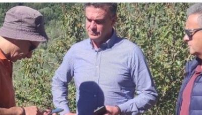 Ελαιοκομία: Πιλοτικό πρόγραμμα δολωματικών ψεκασμών σε ελαιόδενδρα με μη επανδρωμένο αεροσκάφος