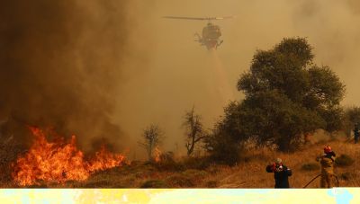 Κορινθία: Πρόστιμο σε άνδρα που κάπνιζε μελίσσια πριν την εκδήλωση της φωτιάς