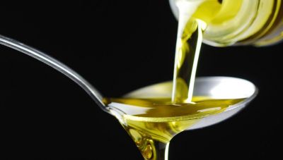 Εκπαίδευση ελαιοπαραγωγών του Δήμου Πλατανιά από την Περιφέρεια Κρήτης