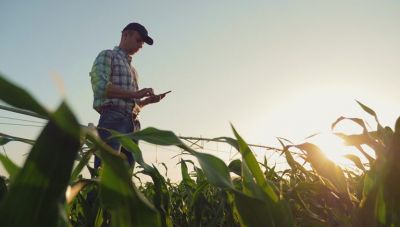 Αγροτικά προϊόντα: Μικρή άνοδος των τιμών τον Οκτώβριο