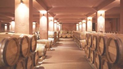 Στα ίδια επίπεδα με το 2003 η πρώτη εκτίμηση του όγκου οινοπαραγωγής 2024-2025