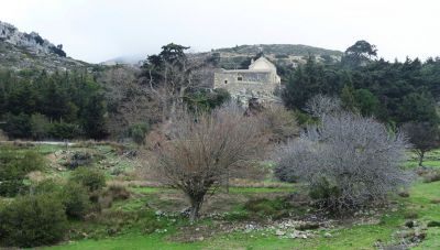 Κρήτη: Εξόρμηση στην περιοχή των Μεσελέρων