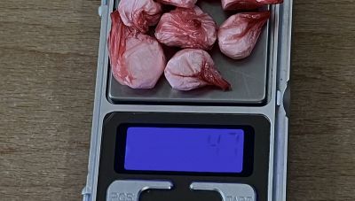 Ιεράπετρα: Σε 9 συσκευασίες έκρυβε την κοκαΐνη