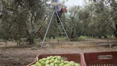 Ιεράπετρα: Αγανακτούν οι αγρότες για καυτά ζητήματα – Τι συζητήθηκε στη Γενική Συνέλευση